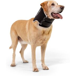 Balto Neck Eco E-Collar Alternative – Dog Recovery Collar – Padded Dog Cone - Pre/Post Surgery Helps Protect Wounds and Rashes- Body Only Protection (Extra Extra Small)