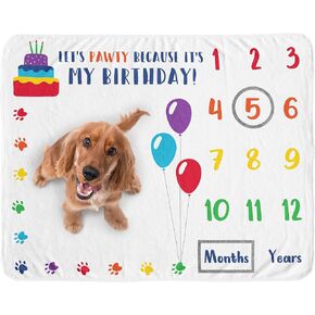 Sweet Jojo Designs Party Animal Dog Birthday Puppy Milestone Blanket Monthly Yearly Photo Op Growth Memory Gift Set Cat Pets Red Blue Green Yellow Rainbow Paw Print Doggy Pet Balloons Cake Celebration