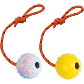 Nevperish 2 Pack Dog Ball, K9 Ball, Solid Rubber Ball on Rope for Reward, Fetch, Play (7cm)