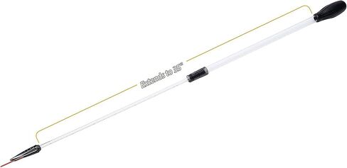 كينت مارين سي سكويرت مرجاني للتغذية، 21 بوصة. in Kuwait