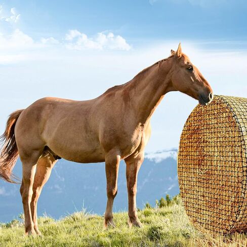 شبكة قش مستديرة سميكة ومتينة للخيول - حجم كبير 5 × 5 أقدام، شبكة نايلون سوداء بفتحات 1.75 بوصة - شبكات قش بطيئة التغذية للخيول والماعز - حل تغذية أكثر صحة. in Kuwait