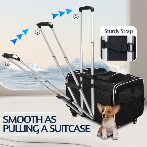 Petskd Double Cat Carrier with Wheels Rolling Pet Carrier for 2 Dogs Cats Up to 35lbs Removable Wheels Dog Carrier 2 Compartment for Traveling Camping (Dark Black) in Kuwait