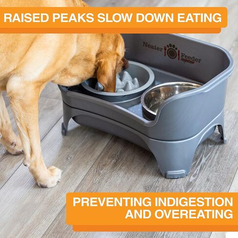 The Niner Slow Feed Bowl - Raised Peaks Slow Down Pets Eating - Fits Elevated Feeders Including Neater Feeder Large Sizes - Gentle on Teeth and Gums - Holds up to 2 Cups (Aquamarine) in Saudi Arabia