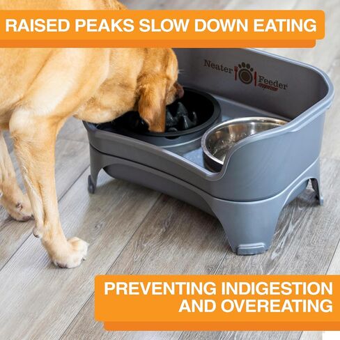 The Niner Slow Feed Bowl - Raised Peaks Slow Down Pets Eating - Fits Elevated Feeders Including Neater Feeder Large Sizes - Gentle on Teeth and Gums - Holds up to 2 Cups (Aquamarine) in Saudi Arabia