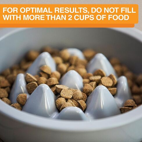 The Niner Slow Feed Bowl - Raised Peaks Slow Down Pets Eating - Fits Elevated Feeders Including Neater Feeder Large Sizes - Gentle on Teeth and Gums - Holds up to 2 Cups (Aquamarine) in Saudi Arabia