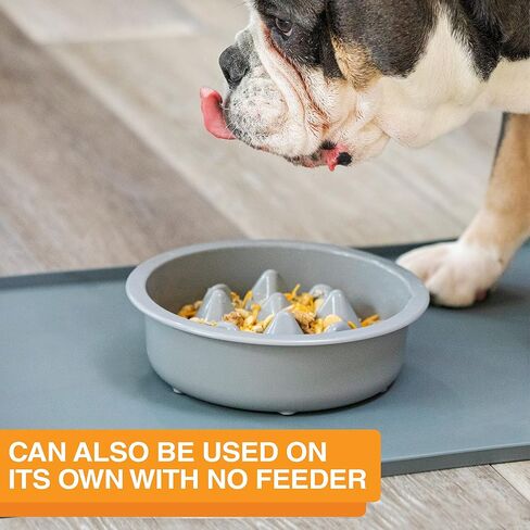 The Niner Slow Feed Bowl - Raised Peaks Slow Down Pets Eating - Fits Elevated Feeders Including Neater Feeder Large Sizes - Gentle on Teeth and Gums - Holds up to 2 Cups (Aquamarine) in Saudi Arabia
