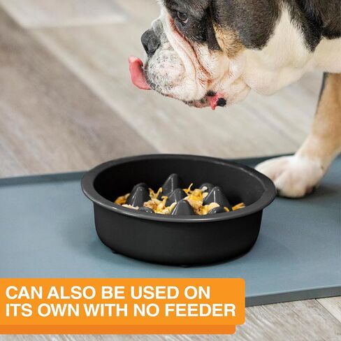 The Niner Slow Feed Bowl - Raised Peaks Slow Down Pets Eating - Fits Elevated Feeders Including Neater Feeder Large Sizes - Gentle on Teeth and Gums - Holds up to 2 Cups (Aquamarine) in Saudi Arabia