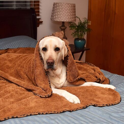 عبوتان من منشفة الاستحمام والشاطئ المصنوعة من الألياف الدقيقة للحيوانات الأليفة من - سكربت - فائقة الامتصاص وسريعة الجفاف - مثالية للكلاب والقطط الكبيرة والمتوسطة والصغيرة in Kuwait