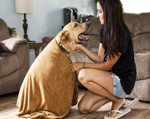 عبوتان من منشفة الاستحمام والشاطئ المصنوعة من الألياف الدقيقة للحيوانات الأليفة من - سكربت - فائقة الامتصاص وسريعة الجفاف - مثالية للكلاب والقطط الكبيرة والمتوسطة والصغيرة in Kuwait