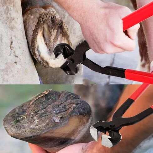 Hoypeyfiy Horse Hoof Nipper، 16 بوصة هوف تشذيب القراص، قصافة أظافر الحصان للخيول والأغنام والماعز والألبكة والأطباء البيطريين وإمدادات المزرعة in Saudi Arabia