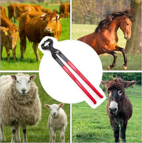 Hoypeyfiy Horse Hoof Nipper، 16 بوصة هوف تشذيب القراص، قصافة أظافر الحصان للخيول والأغنام والماعز والألبكة والأطباء البيطريين وإمدادات المزرعة in Saudi Arabia