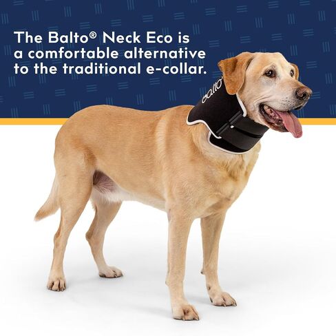 بديل طوق Balto Neck Eco E-Collar - طوق تعافي الكلاب - مخروط مبطن للكلاب - يساعد على حماية الجروح والطفح الجلدي - حماية الجسم فقط (متوسط) in Kuwait