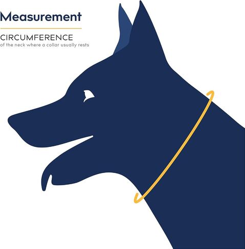 بديل طوق Balto Neck Eco E-Collar - طوق تعافي الكلاب - مخروط مبطن للكلاب - يساعد على حماية الجروح والطفح الجلدي - حماية الجسم فقط (متوسط) in Kuwait