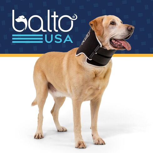 بديل طوق Balto Neck Eco E-Collar - طوق تعافي الكلاب - مخروط مبطن للكلاب - يساعد على حماية الجروح والطفح الجلدي - حماية الجسم فقط (متوسط) in Kuwait