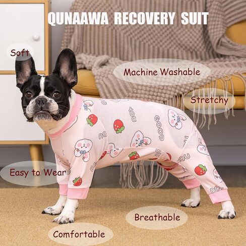 Dog Recovery Suit for Surgery Small Medium Dogs Onesie, Cute Soft Dog Pajamas Bodysuit Cone Alternative Prevent Licking Dog Recovery Suit Female Male (Small, Cat Purple) in Kuwait