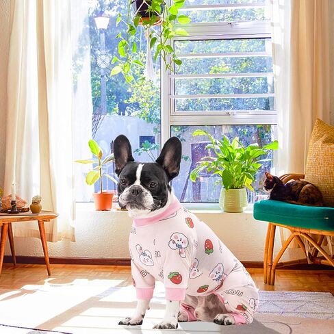 Dog Recovery Suit for Surgery Small Medium Dogs Onesie, Cute Soft Dog Pajamas Bodysuit Cone Alternative Prevent Licking Dog Recovery Suit Female Male (Small, Cat Purple) in Kuwait