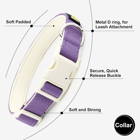 Plutus Pet Cotton Dog Collar, Heavy Duty Collar with Soft Padding, Adjustable and Comfortable for Small Medium and Large Dogs, Light Yellow, M in Saudi Arabia