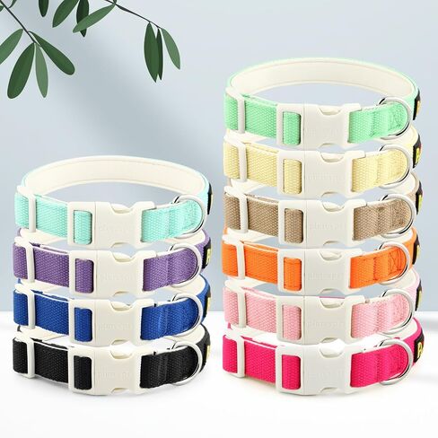 Plutus Pet Cotton Dog Collar, Heavy Duty Collar with Soft Padding, Adjustable and Comfortable for Small Medium and Large Dogs, Light Yellow, M in Saudi Arabia