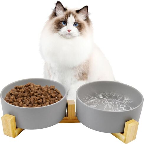 Ceramic Dog Cat Bowl with Wood Stand,Cat Food & Water Bowls Elevated Non-Spill Modern Cute Cat Dish Heavy Weighted Round Pet Dishes Set for Small Kitten Grown Cat(Grey) in Saudi Arabia