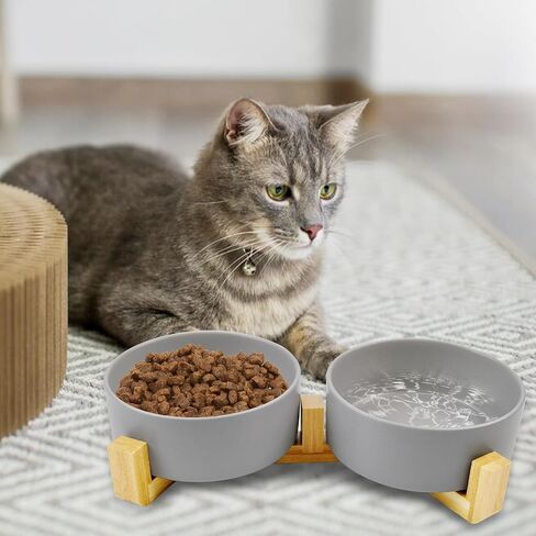 Ceramic Dog Cat Bowl with Wood Stand,Cat Food & Water Bowls Elevated Non-Spill Modern Cute Cat Dish Heavy Weighted Round Pet Dishes Set for Small Kitten Grown Cat(Grey) in Saudi Arabia