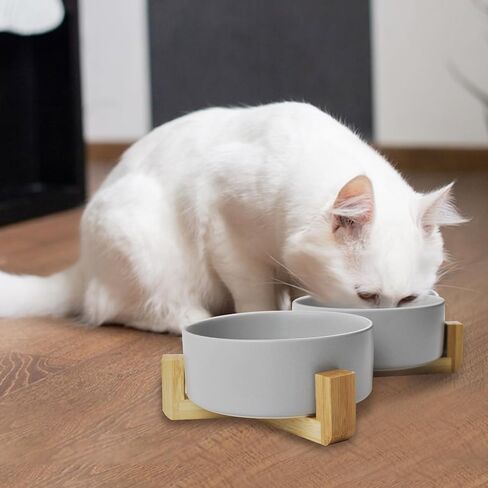 Ceramic Dog Cat Bowl with Wood Stand,Cat Food & Water Bowls Elevated Non-Spill Modern Cute Cat Dish Heavy Weighted Round Pet Dishes Set for Small Kitten Grown Cat(Grey) in Saudi Arabia