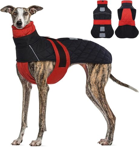 Greyhound Saluki Warm Dog Coat -Red,XXLarge- Waterproof Large Dog Winter Coat with Adjustable Bands,Water Resistant Dog Jacket,Dog Coat with Harness Hole,Dog Winter Jackets with Turtleneck in Saudi Arabia