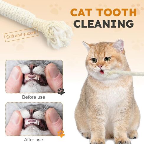Cat Toy with Catnip,6pcs Cat String Sisal Rope Toy Cat Toys for Cats Kittens Teeth Cleaning and Dental Care,Interactive Cat Kicker Toy Kitten Toys for Bored Indoor Cats Kitty in Kuwait