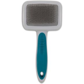 فرشاة بيتميت فورباستر 2 في 1 لتنظيف الكلاب وشعيراتها، لون البرقوق النابض بالحياة in Kuwait