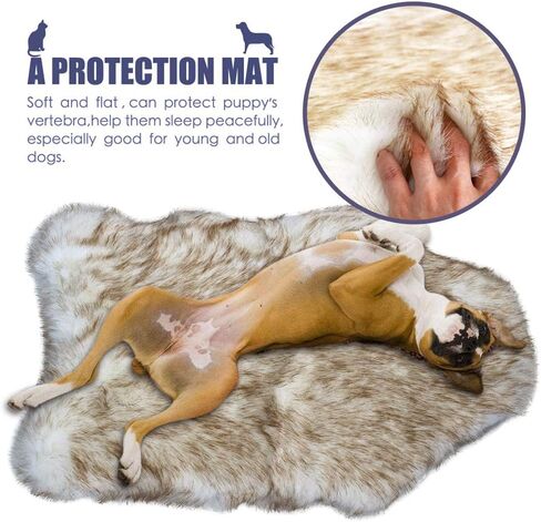 بساط سرير للكلاب الأليفة من الفرو الصناعي للكلاب الصغيرة والقطط، وسادة سرير للحيوانات الأليفة من القطيفة فائقة النعومة من Puprug، سجادة مرتبة لسرير الحيوانات الأليفة للكلاب والقطط، بيج in Kuwait