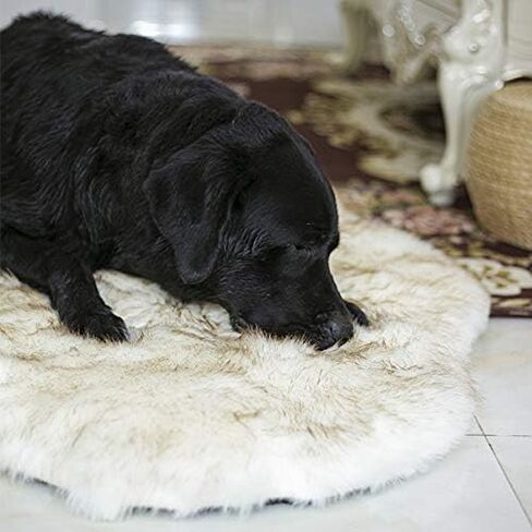 بساط سرير للكلاب الأليفة من الفرو الصناعي للكلاب الصغيرة والقطط، وسادة سرير للحيوانات الأليفة من القطيفة فائقة النعومة من Puprug، سجادة مرتبة لسرير الحيوانات الأليفة للكلاب والقطط، بيج in Kuwait