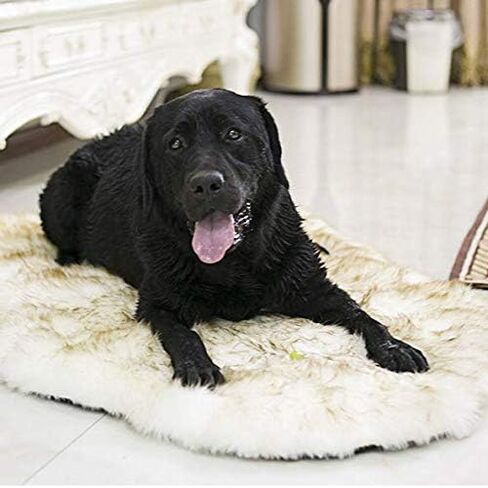 بساط سرير للكلاب الأليفة من الفرو الصناعي للكلاب الصغيرة والقطط، وسادة سرير للحيوانات الأليفة من القطيفة فائقة النعومة من Puprug، سجادة مرتبة لسرير الحيوانات الأليفة للكلاب والقطط، بيج in Kuwait
