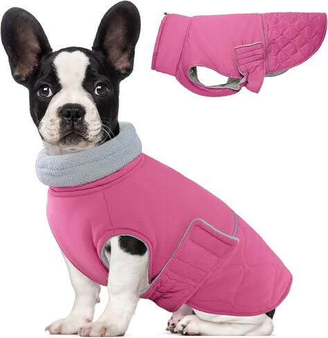 BRKURLEG Dog Winter Coat Warm Dog Jackets for Small and Medium Large Dogs Reflective Adjustable Dog Cold Weather Coats Waterproof Windproof Dog Snow Jacket Clothes Dog Warm Vest (XXL, Khaki) in Saudi Arabia