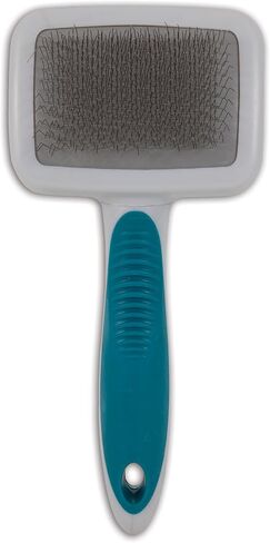 فرشاة بيتميت فورباستر 2 في 1 لتنظيف الكلاب وشعيراتها، لون البرقوق النابض بالحياة in Kuwait