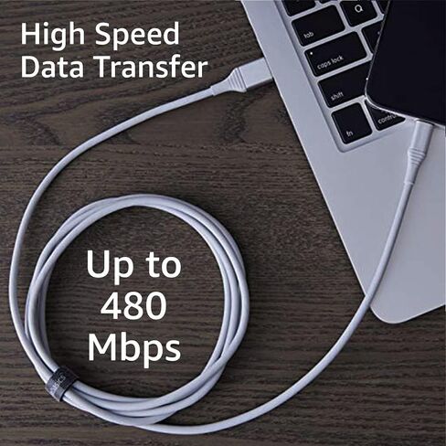 سلك كابل USB-A إلى Lightning من Amazon Basics، شاحن معتمد من MFi لأجهزة Apple iPhone وiPad، وعمر 20,000 منحنى - فضي، 6 أقدام in Saudi Arabia