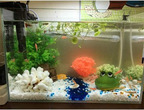 ديكورات فقاعات الهواء لحوض السمك، زينة عمل الضفدع مفتوحة الفم in Kuwait