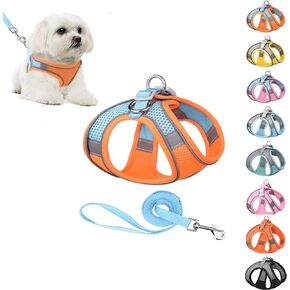 مجموعة مقاود تسخير الكلاب، ناعمة بدون سحب وقابلة للتعديل من النايلون الشبكي للقطط، حزام تسخير لطيف لطيف ملون للحيوانات الأليفة، طوق جرو صغير متوسط ​​كبير، أنثى ذكر، أزرق رمادي XS in Kuwait