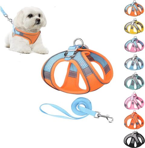 مجموعة مقاود تسخير الكلاب، ناعمة بدون سحب وقابلة للتعديل من النايلون الشبكي للقطط، حزام تسخير لطيف لطيف ملون للحيوانات الأليفة، طوق جرو صغير متوسط ​​كبير، أنثى ذكر، أزرق رمادي XS in Kuwait