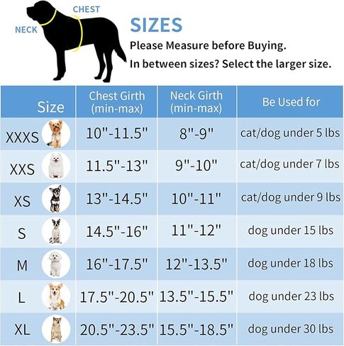 مجموعة مقاود تسخير الكلاب، ناعمة بدون سحب وقابلة للتعديل من النايلون الشبكي للقطط، حزام تسخير لطيف لطيف ملون للحيوانات الأليفة، طوق جرو صغير متوسط ​​كبير، أنثى ذكر، أزرق رمادي XS in Kuwait
