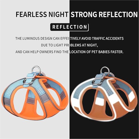 مجموعة مقاود تسخير الكلاب، ناعمة بدون سحب وقابلة للتعديل من النايلون الشبكي للقطط، حزام تسخير لطيف لطيف ملون للحيوانات الأليفة، طوق جرو صغير متوسط ​​كبير، أنثى ذكر، أزرق رمادي XS in Kuwait