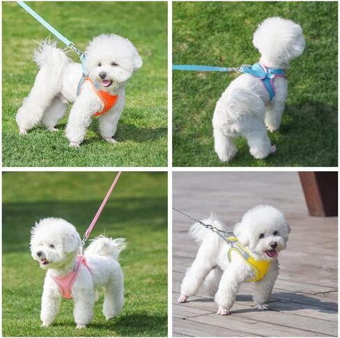 مجموعة مقاود تسخير الكلاب، ناعمة بدون سحب وقابلة للتعديل من النايلون الشبكي للقطط، حزام تسخير لطيف لطيف ملون للحيوانات الأليفة، طوق جرو صغير متوسط ​​كبير، أنثى ذكر، أزرق رمادي XS in Kuwait