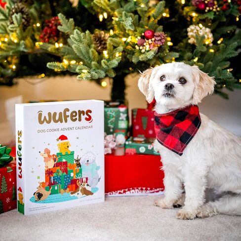 Wufers Singing Snow Globe Dog Advent Calendar, 24 Gourmet Holiday Dog Cookies – Christmas Countdown Dog Treats, Human-Grade Ingredients, Made in North America in Saudi Arabia