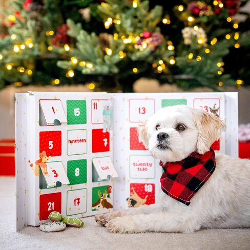 Wufers Singing Snow Globe Dog Advent Calendar, 24 Gourmet Holiday Dog Cookies – Christmas Countdown Dog Treats, Human-Grade Ingredients, Made in North America in Saudi Arabia