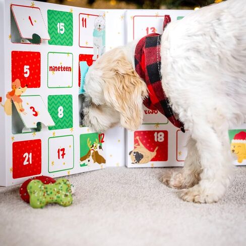Wufers Singing Snow Globe Dog Advent Calendar, 24 Gourmet Holiday Dog Cookies – Christmas Countdown Dog Treats, Human-Grade Ingredients, Made in North America in Saudi Arabia