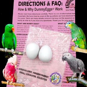 Medium Parrot Dummy Plastic Eggs Control Laying (2)! 1.5" x 1.25" (3.7 x 3cm) Non-Toxic Solid Plastic Fake Dummy Bird Eggs African Grey, Eclectus, Azn, Small Cockatoo or Macaw. Ship Fast!