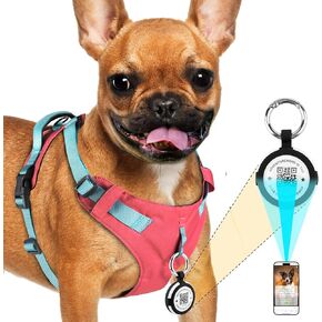 AdventureMore Lightweight Dog Harness with QR Code Smart Pet ID Code AirTag Holder Breathable Escape Proof Vest Harness for Puppy Small Medium Dogs and Cats Easy to Put On and Control XXS Pink-Blue