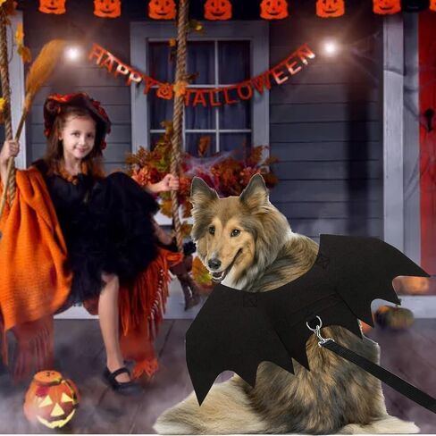Dog Bat Wings Costume Halloween Pet Costume 3PCS Funny Cat Dog Wings with Leash Pumpkin Jingle Bell Cosplay Bat Clothes for Small Medium Large Dogs Puppy Holiday Outfit Dress (Bat Wings, Medium) in Kuwait