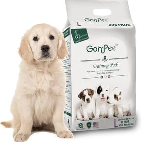 Disposable Dog Pee Pads [23x23] Underpads for Surface Protection and Puppie Trainning. High Absorbency Leak Proof Pads with Tapes. Great Value Dog Pads (L, 60, Count), White / Green
