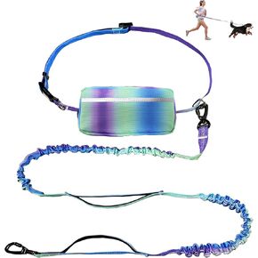 Hands Free Dog Leash with Zipper Pouch, Adjustable Waist Bungee Dog Leashes for Medium and Large Dogs That Pull, Dual Padded Handles, Reflective Stitches, Walking Jogging Running Leash (Green Purple)