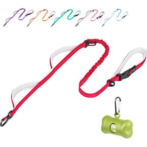 ADVENTUREMORE Heavy Duty Dog Leash for Medium Large Dogs, 5 FT Long Dog Training Leash with Comfortable Padded Multi-Handle, Shock Absorption Safety Training Reflective Dog Leash with Poop Bag Holder