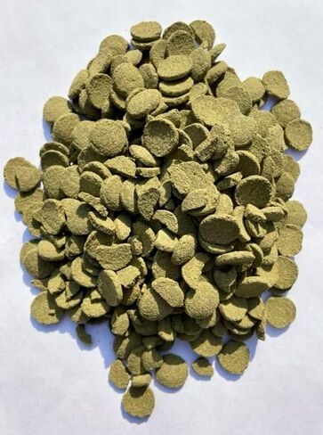 Nutritious Fish Food - Algae Disc Wafers for Algae Eaters, Plecos, and Bottom Feeders - 10 oz. Pouch in Saudi Arabia